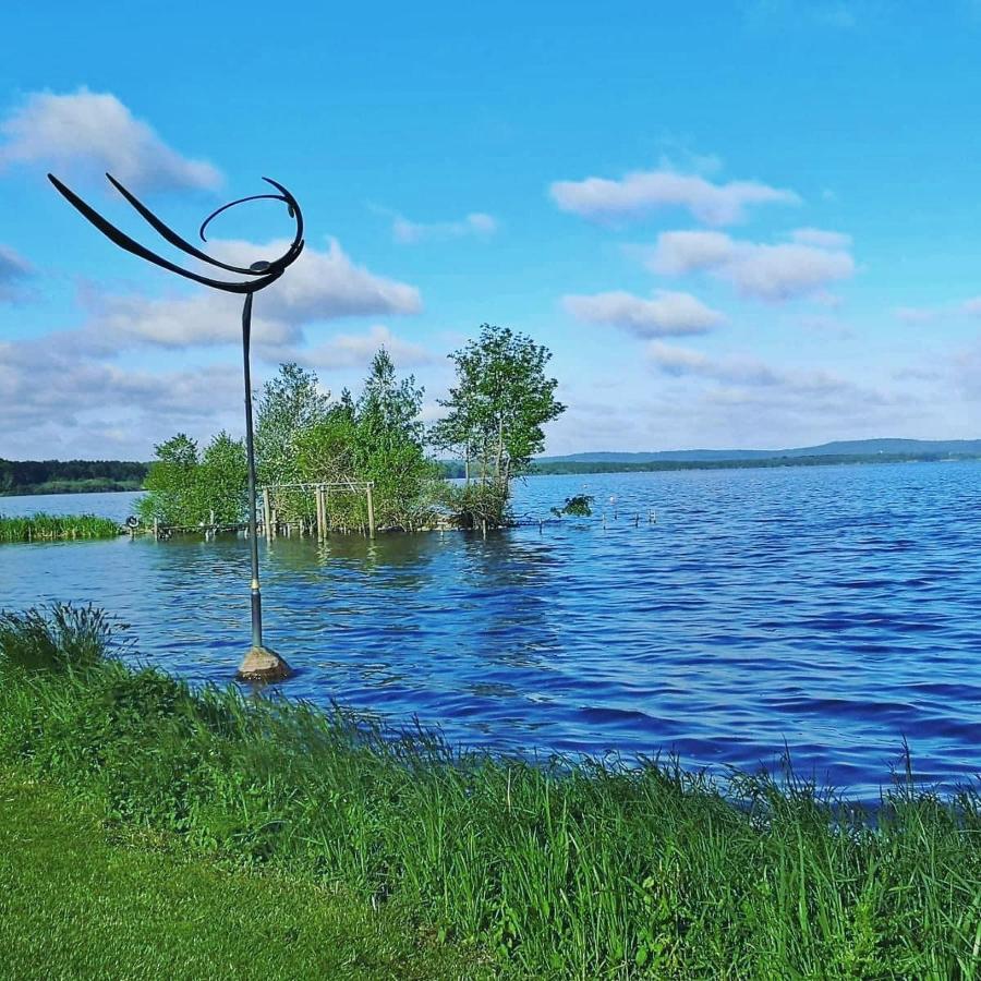 Апартаменты Fraeulein Frida - Steinhude Вунсторф Экстерьер фото